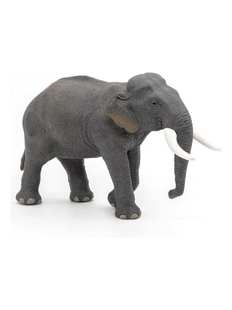 50131 Eléphant D'asie Figurine - N/A