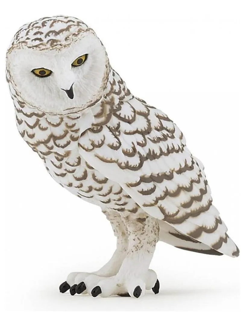 50167 Chouette Harfang Des Neiges - N/A