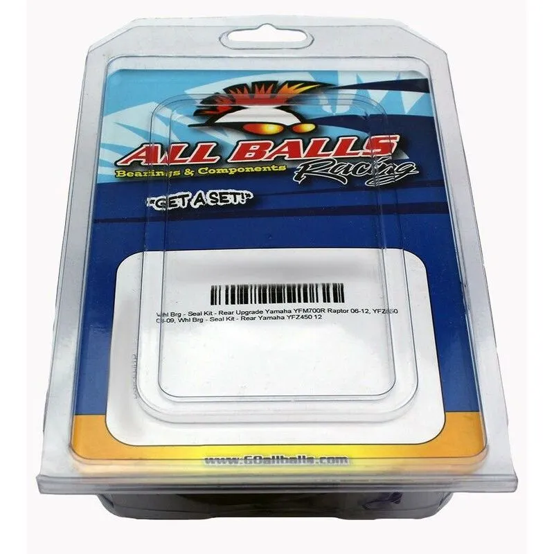 Kit reconditionnement triangle arrière ALL BALLS Polaris SPORTSMAN 450 H.O