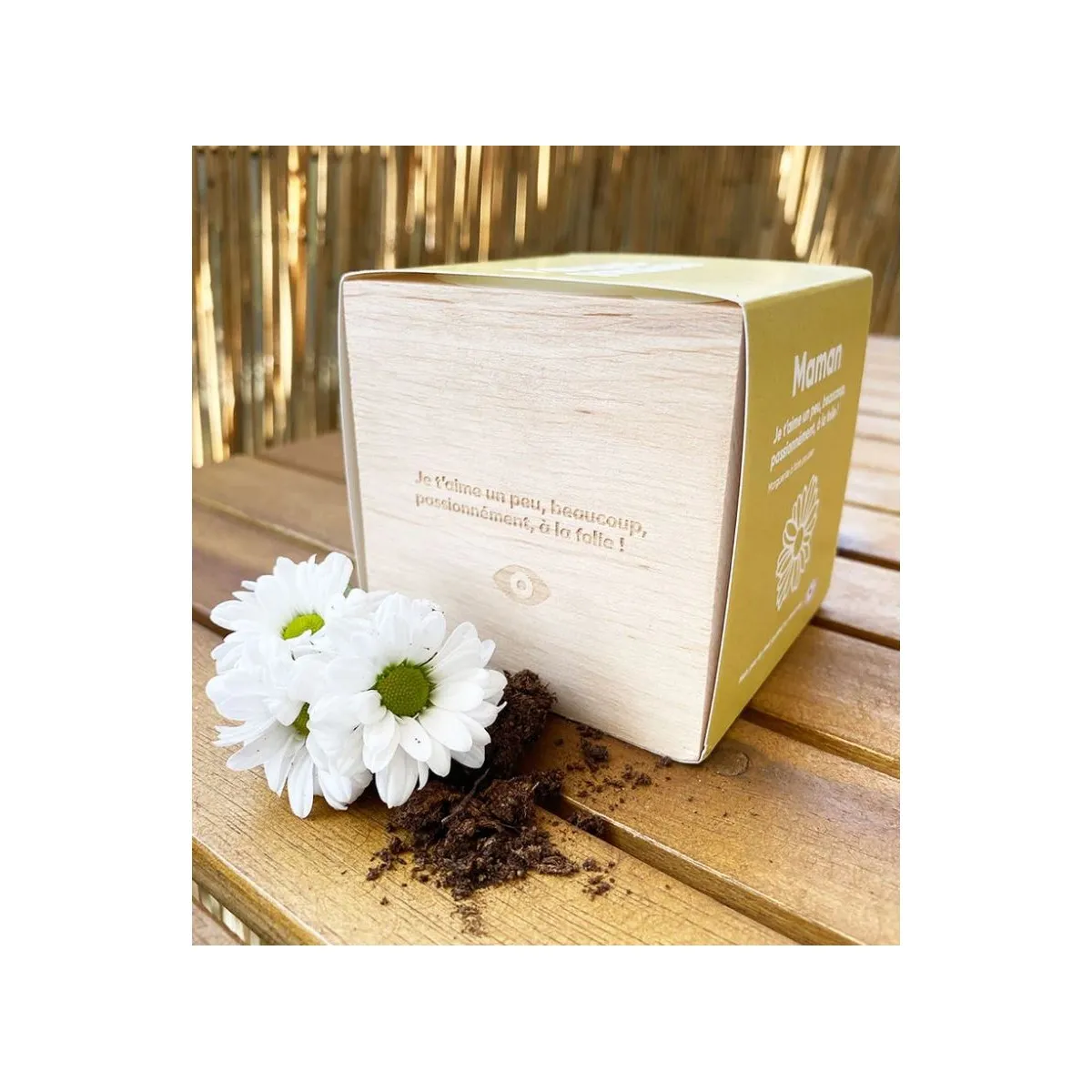 L'Avant Gardiste - Ecocube maman marguerites