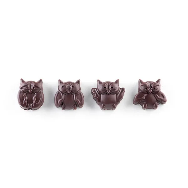 Moule en silicone 12 chocolats chouette Silikomart 