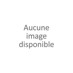 T-shirt ethnique dos fantaisie femme