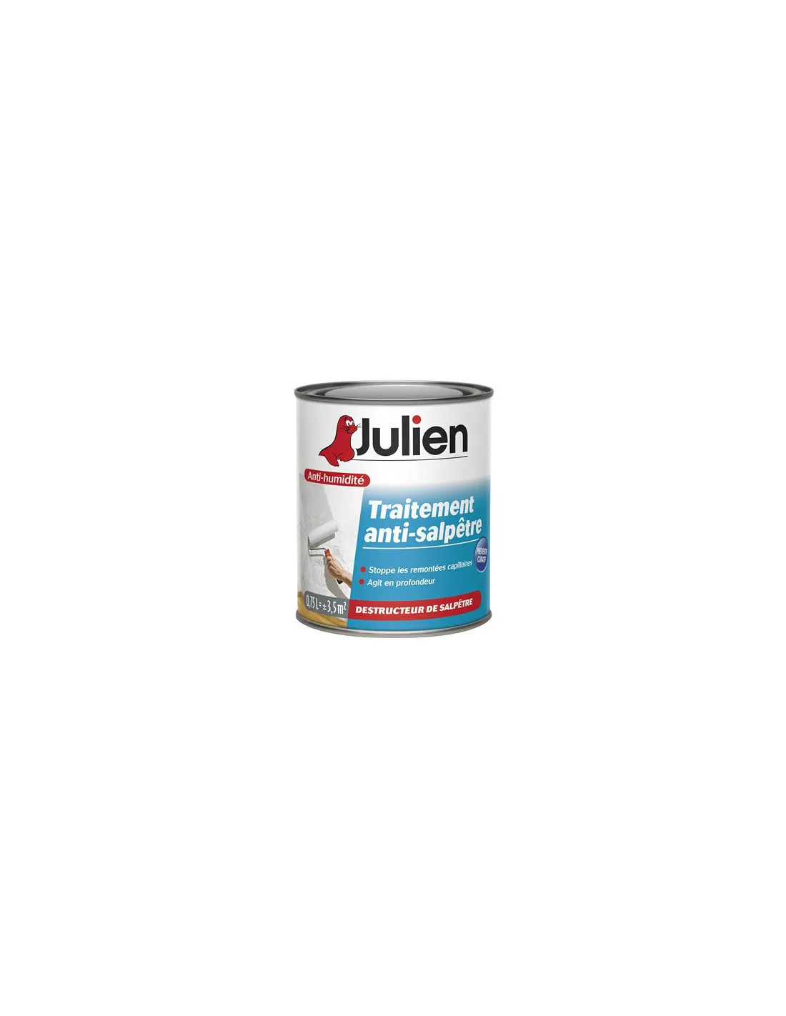 Traitement anti-salpêtre boîte 750 ml -